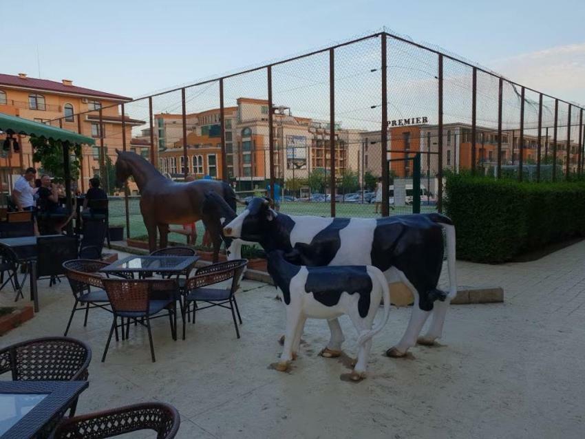 Panorama Dreams Apartment Sveti Vlas Luaran gambar